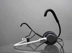 MIC