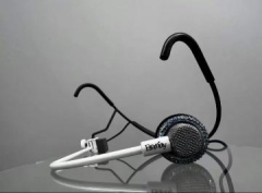 MIC
