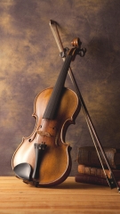 The solid wood cellos of WULIN are suitable for beginners, adults' grade examinations and performances.