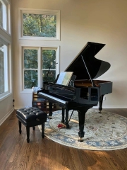 Imported Sanyi grand piano for home use, professional examination, beginner piano for home use