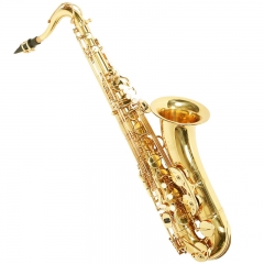 Western wind instruments are suitable for beginners and are also used for competitions.