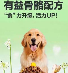 Premium Dog Food And Delicious Dog Treats