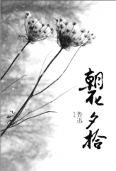 zhao hua xi si