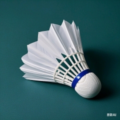 badminton2