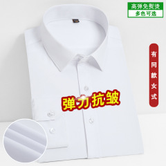 Men's Long-sleeved Business Formal Workwear Professional Shirt - Wrinkle-Resistant & Non-Iron Functional Shirt