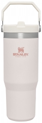 Stainless Steel Tumbler with Straw - Vacuum Insulated Water Bottle for Home, Office or Car Reusable Cup with Straw Leak Resistant Flip Cold for 12 Hrs or Iced for 2 Days