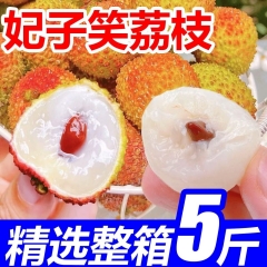 lizhi