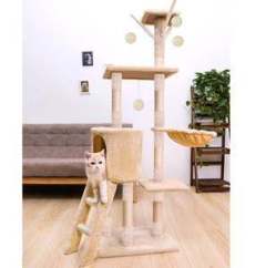 cat climber