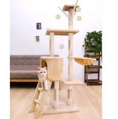 cat climber