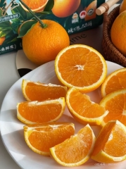 橙子