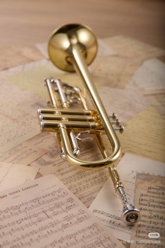 Introduction to Wind Instruments