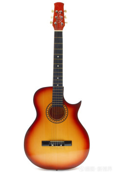"Musical Instruments - Professional Quality for Beginners