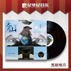 Vinyl record