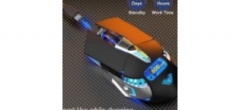 Mouse