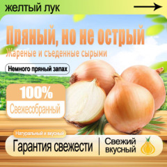 Fresh Yellow Onion, Natural Organic Bulb Onion, Healthy Nutritious, Non-GMO, Fresh Vegetable for Daily Cooking Kitchen Seasoning