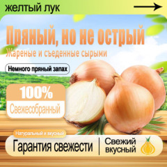 Onion