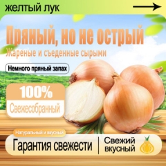 Onion