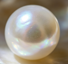 Natural pearl
