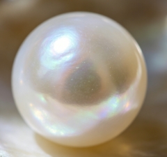 Natural pearl