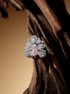 A sacred soul merges with you through jewelry