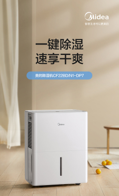 Portable Electric Dehumidifier Quiet Home Air Dehumidifier